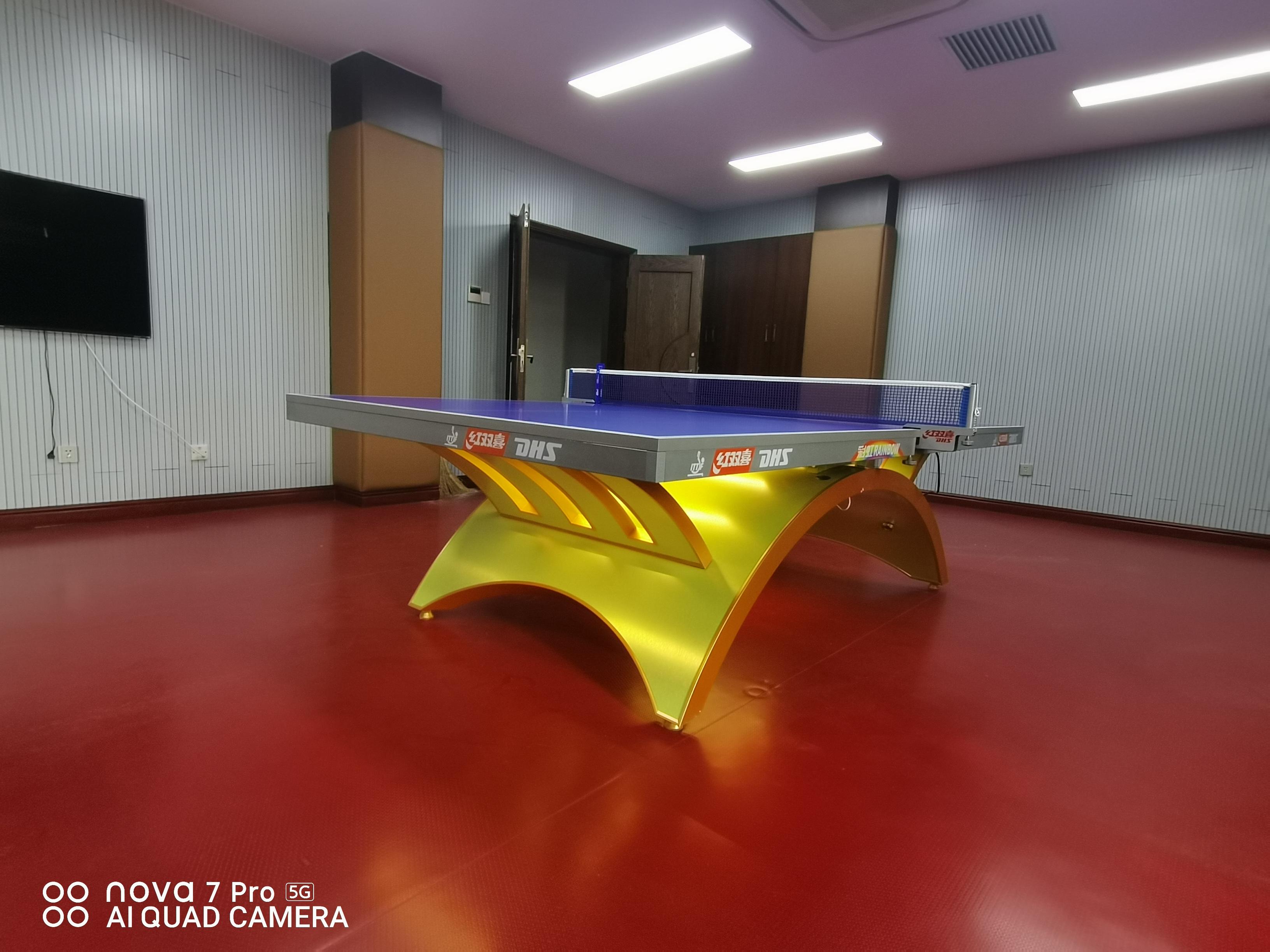 體育器材，紅雙喜乒乓球臺