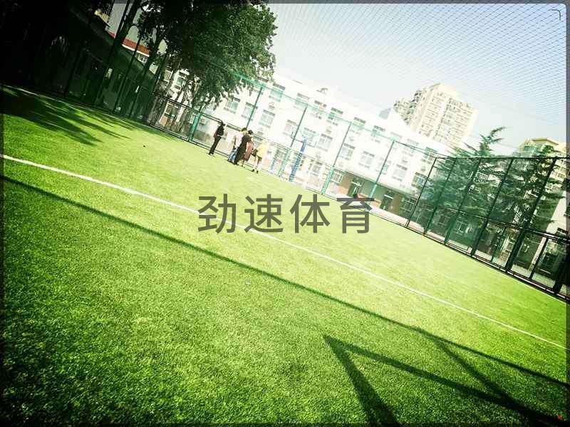 學(xué)校網(wǎng)式足球場